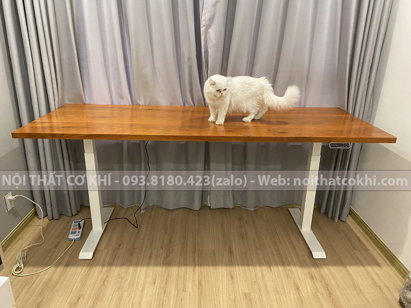 mặt bàn gỗ sồi